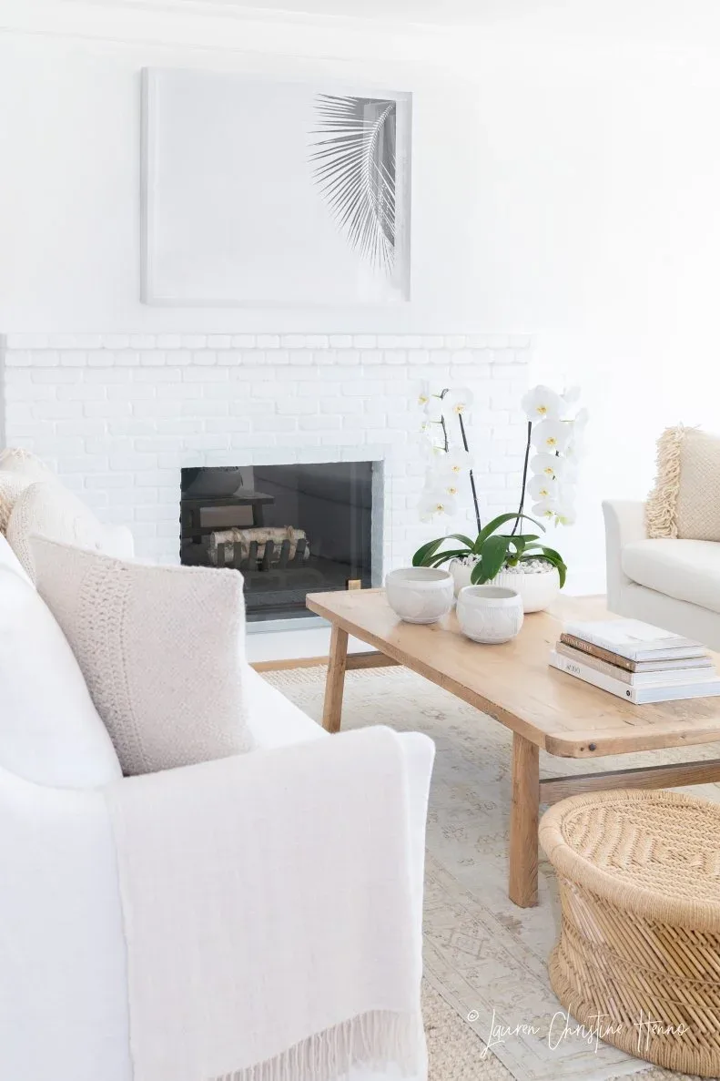White brick fireplace wall with pale framed botanical picture, white seating and light wood coffee table