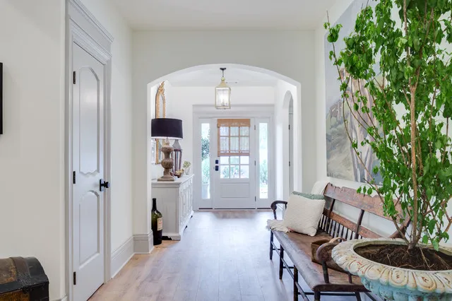 Older timber bench beside a large leafy plant in a bright pale hallway