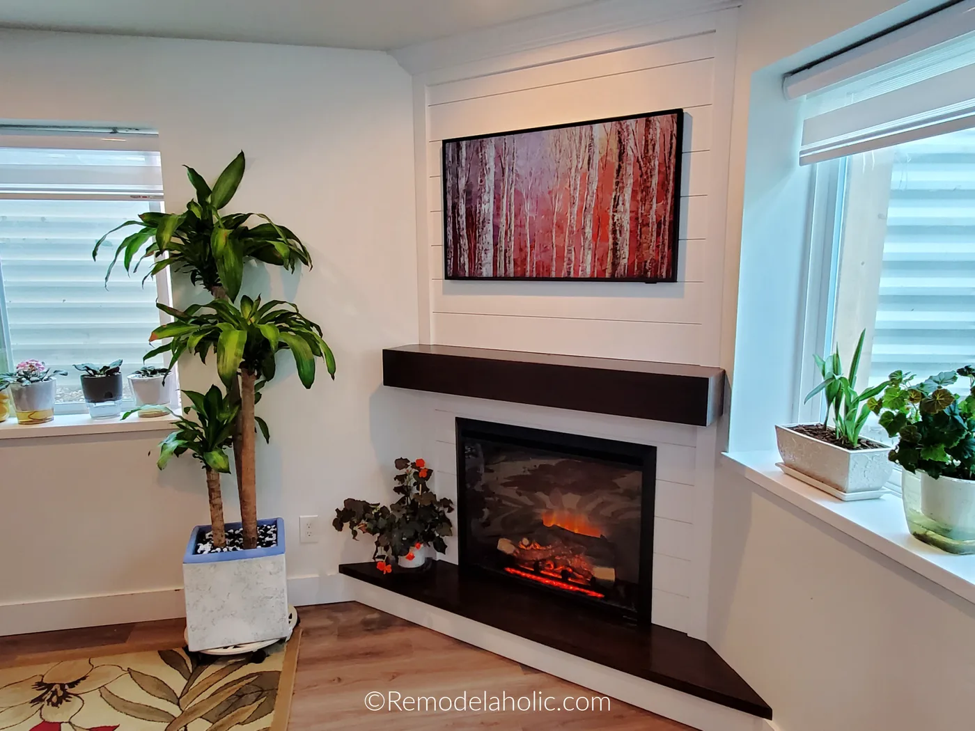 White horizontally paneled corner with an electric fireplace, dark mantel, framed screen and plants beside windows.