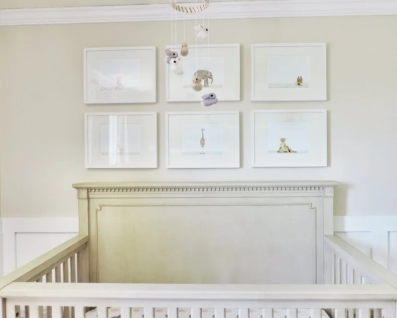 Pale nursery crib beneath six framed baby-animal photographs and hanging mobile