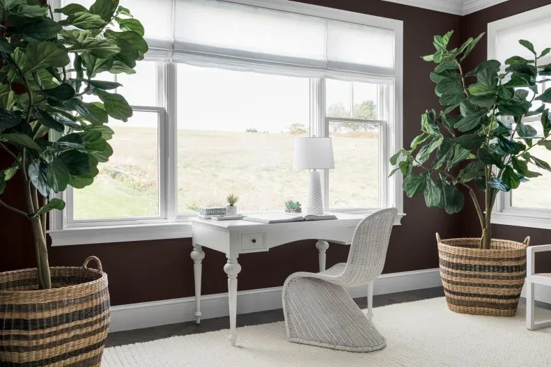 White writing desk beneath broad window with woven chair, large plants in baskets and dark brown walls