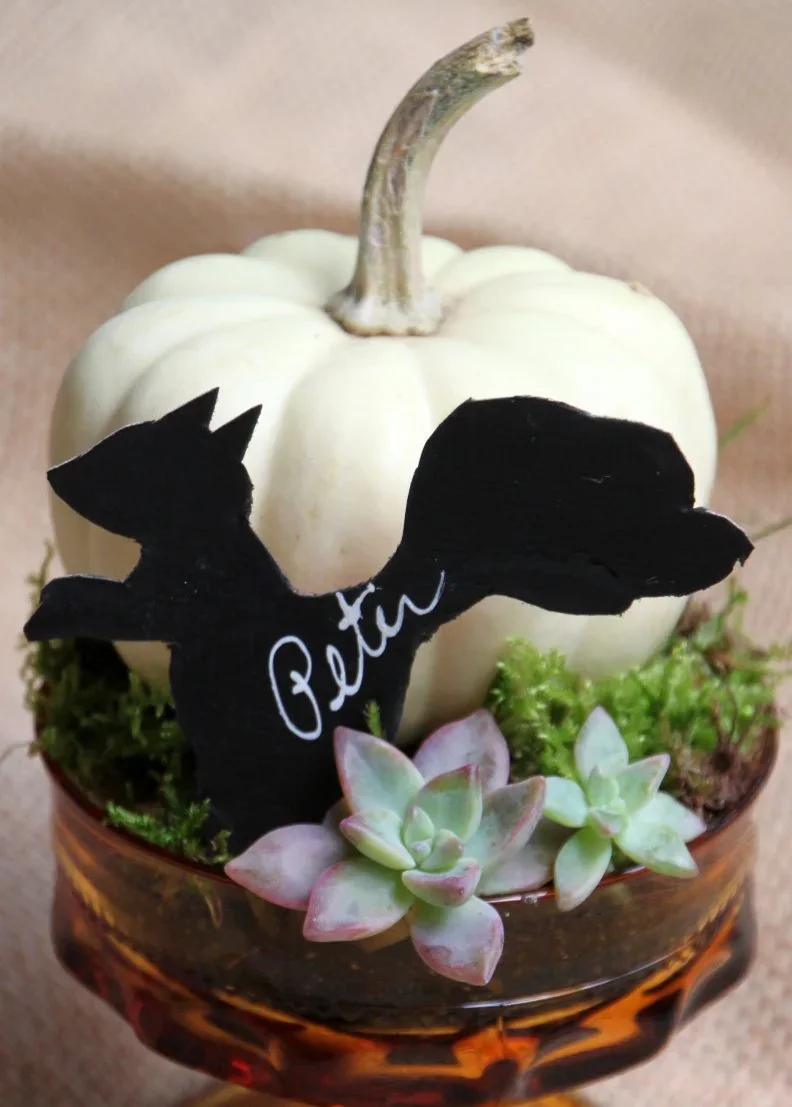 A white pumpkin with a black name tag sits above moss-like green covering and pale succulents in a small decorative bowl