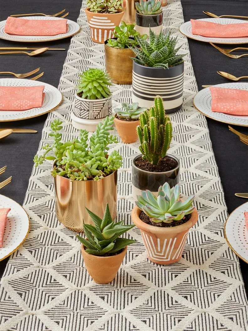 Small green succulents and a cactus in varied pots run along a patterned pale runner beside coral napkins and white plates