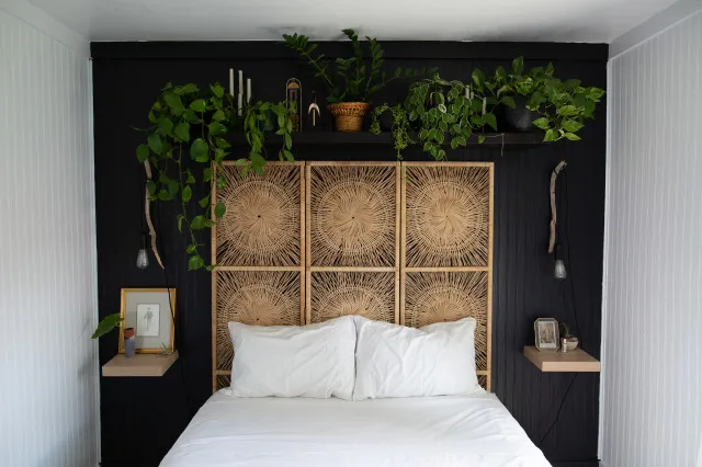 A tall woven headboard stands against a dark wall beneath a row of plants.