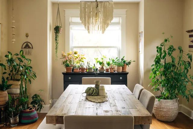 A pale rustic table sits between upholstered seating and generous clusters of plants near a bright window.
