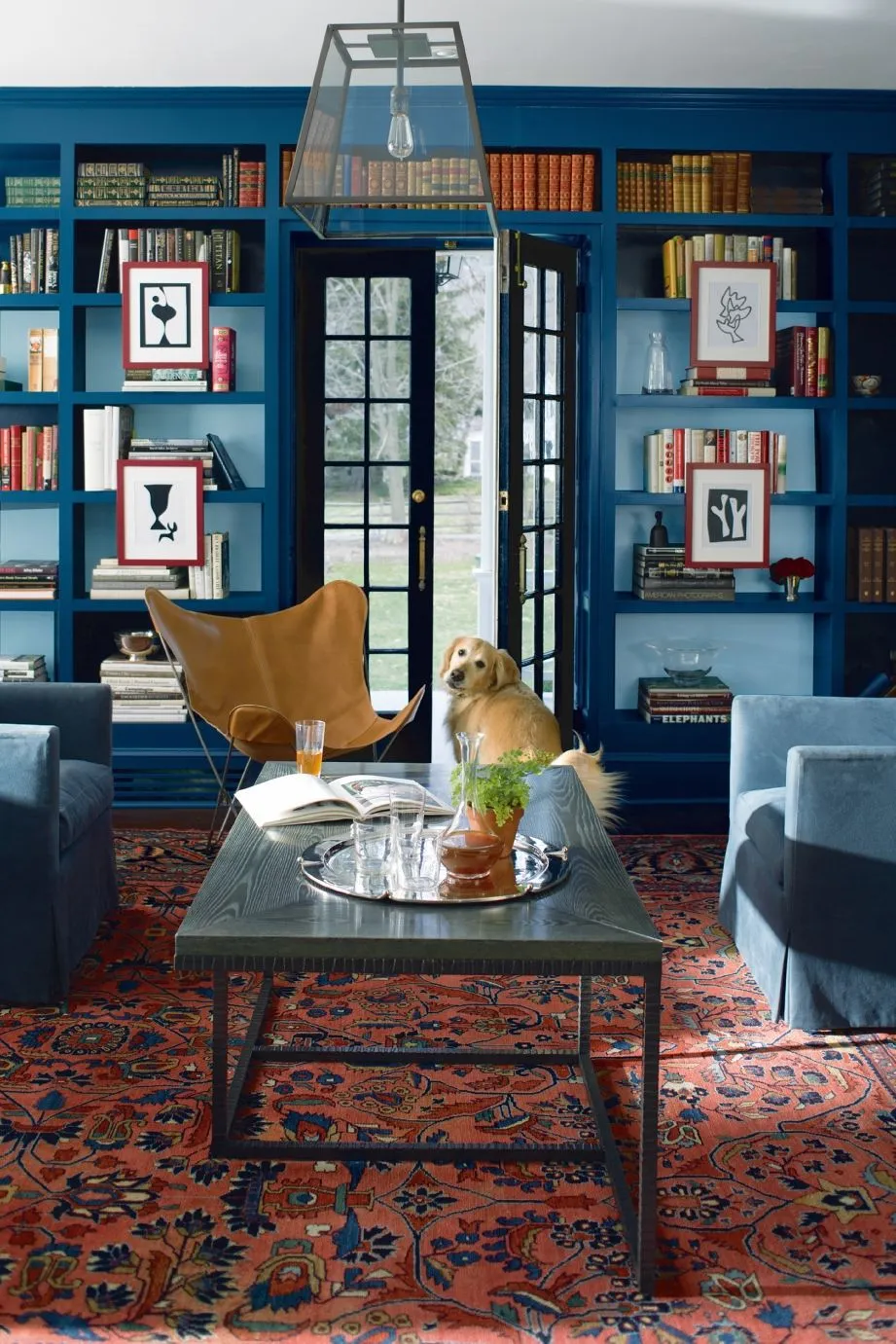Deep blue bookcases frame a doorway beside patterned furniture and a colorful rug.
