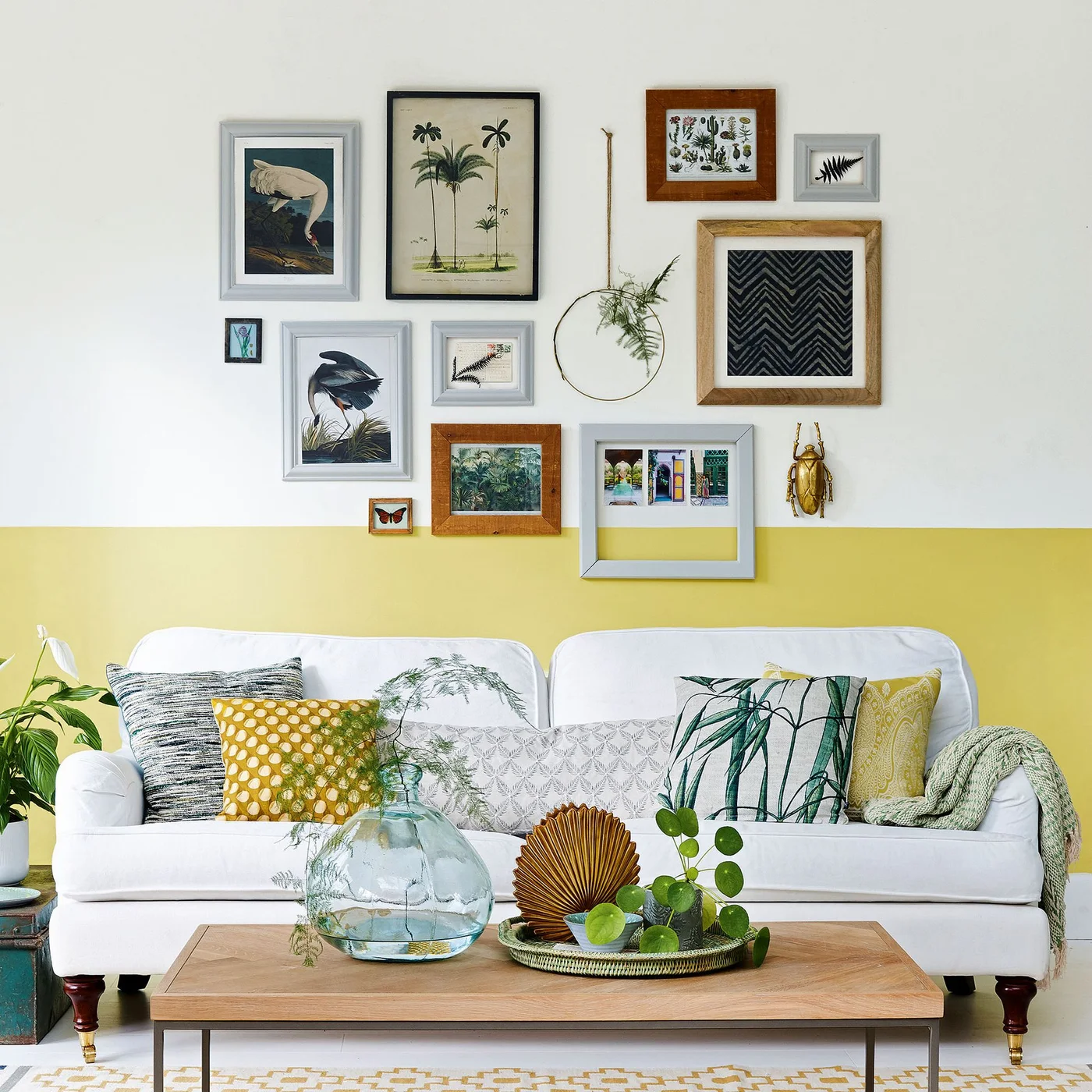 A yellow lower wall sits beneath a botanical picture gallery above a white sofa with green and yellow cushions