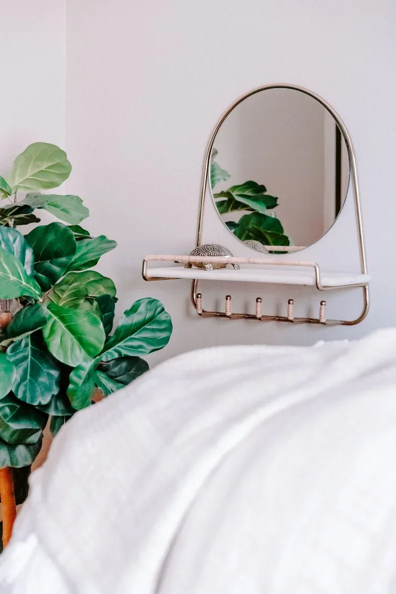 Small rounded wall mirror with narrow shelf and hooks beside green foliage and white bedding in a student bedroom.