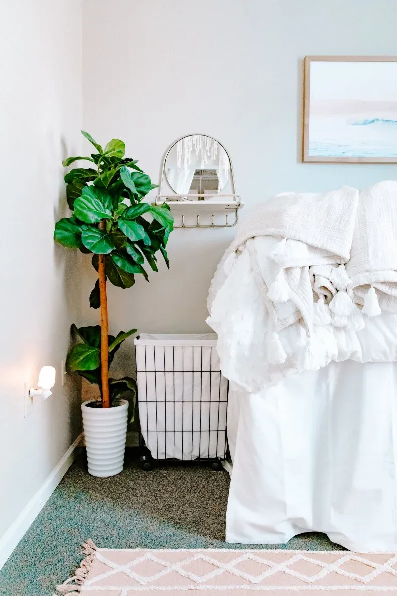 White lined laundry basket beside a student bed, tall green plant and small wall mirror with hooks.