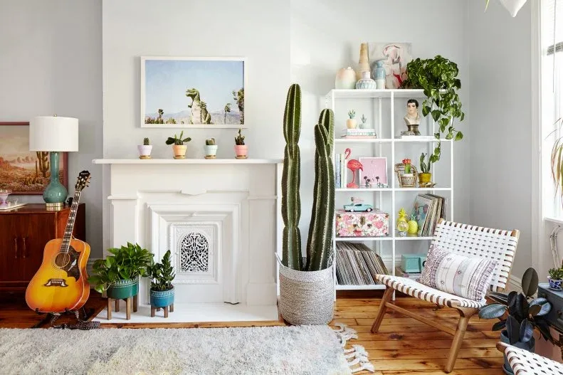Pale living room with white fireplace surround, open white shelving, tall cactus, smaller plants, wooden-framed woven chair and light textured rug.