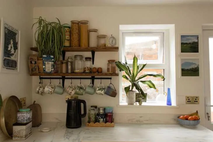 Coffee-and-pantry corner with wooden shelves, hanging mugs and plant beside a small window